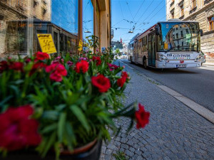 Revoluce v jihlavské MHD. Na přelomu roku vzniknou dvě trolejbusové a jedna autobusová linka, tři budou zrušeny